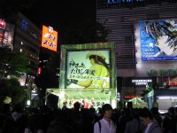 IMG_4075.JPG